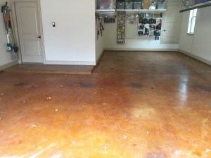Grapevine floor coating